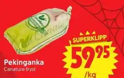Nya Pulsen Canature pekinganka erbjuda