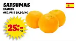 Nelins Satsumas erbjuda