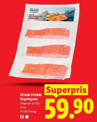 Ocean storm regnbågslax