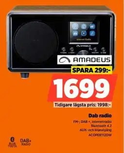 Power Amadeus Dab radio erbjuda
