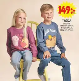 ICA Maxi Capybara tröja erbjuda