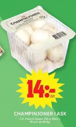 ICA Maxi Ica champinjoner erbjuda