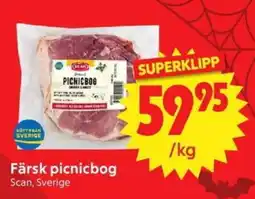 Nya Pulsen Scan färsk picnicbog erbjuda