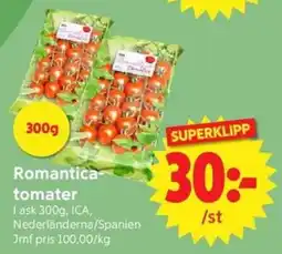Nya Pulsen Romantica-tomater erbjuda