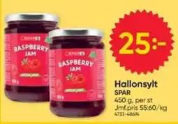 DollarStore Spar hallonsylt erbjuda