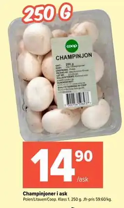 Coop Extra Champinjoner i ask erbjuda
