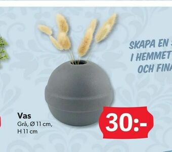 DollarStore Vas erbjuda
