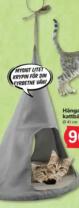 DollarStore Hängande kattbädd erbjuda