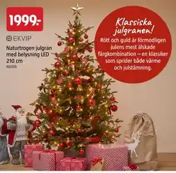 Jula Naturtrogen julgran med belysning LED 210 cm erbjuda