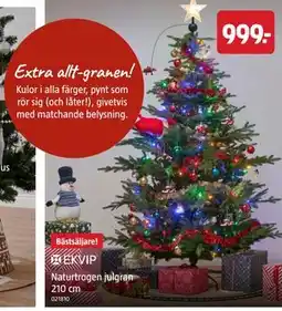 Jula Naturtrogen julgran 210 cm erbjuda