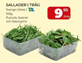 Sallader i tråg