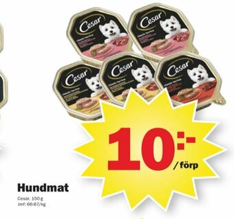 Pekås Cesar hundmat erbjuda