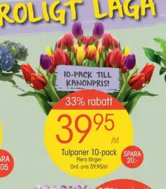EKO Sipsmith blommor erbjuda