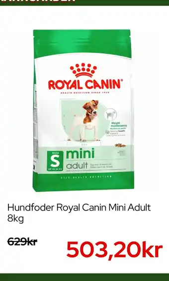 Royal Canin mini adult
