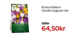 Granngården Krokus Nelson Garden bigpack mix erbjuda