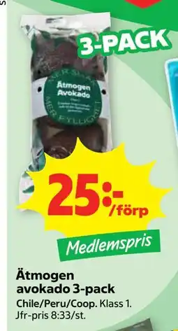 Stora Coop Ätmogen avokado 3-pack, Medlemspris erbjuda