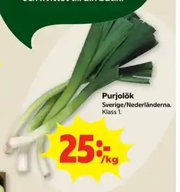 Stora Coop Purjolök erbjuda