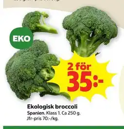 Stora Coop Ekologisk broccoli erbjuda