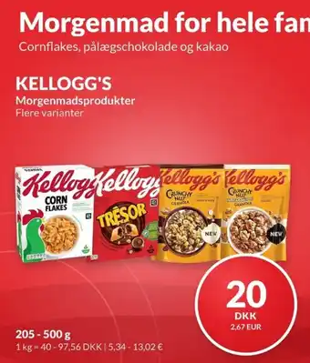 Nielsen Discount Kellogg's morgenmadsprodukter erbjuda