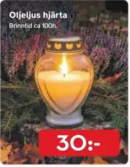 Bo Ohlsson Oljeljus hjärta erbjuda