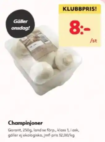 Champinjoner