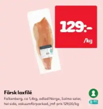 Färsk laxfilé