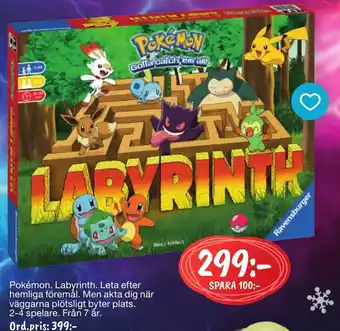 Pokemon Labyrinth