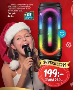 Leklust DJ Band karaokehögtalare erbjuda