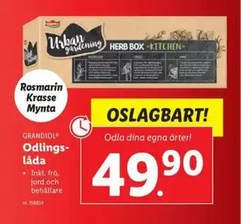 Grandiol Odlingslåda