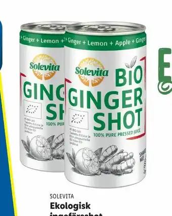 Lidl Ekologisk ingefärsshot erbjuda