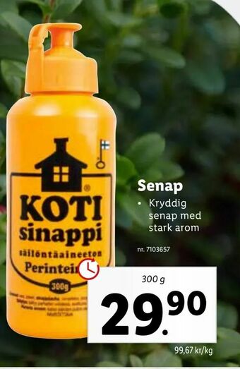 Lidl Senap erbjuda
