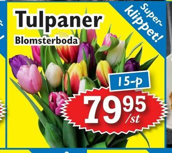 T-jarlen Tulpaner erbjuda