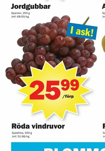 Pekås Röda vindruvor erbjuda