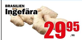 Matdax Ingefära erbjuda