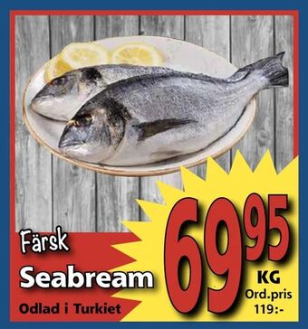 Supergrossen Seabream erbjuda