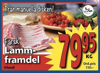 Lammframdel