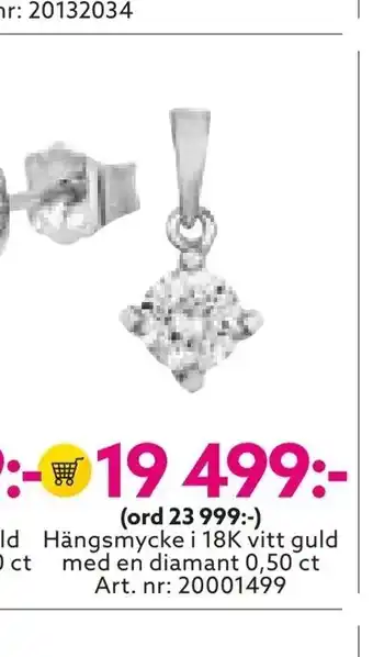 Albrekts Guld Hängsmycke i 18K vitt guld med en diamant erbjuda