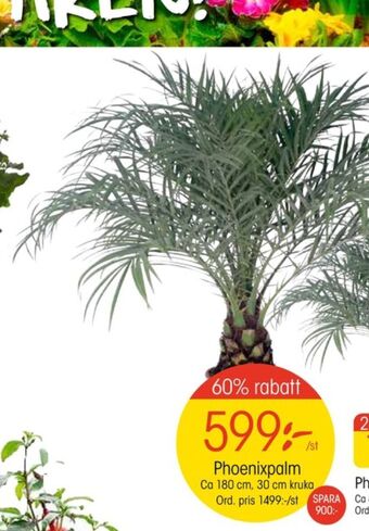 EKO Plantor erbjuda