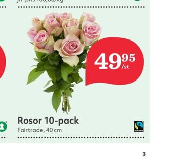 Hemköp Blommor erbjuda