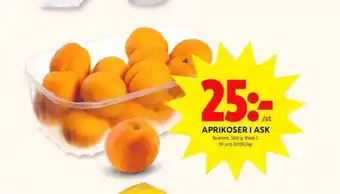 Aprikoser