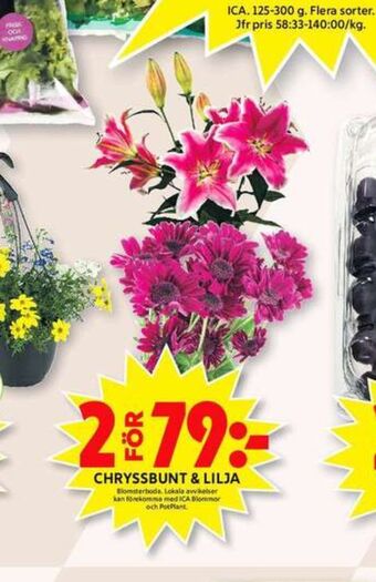 ICA Maxi Blomsterboda Blommor erbjuda