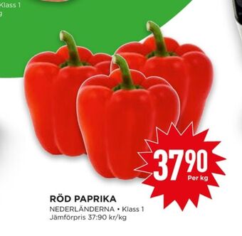 Willys Paprika erbjuda