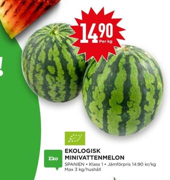 Willys Vattenmelon erbjuda