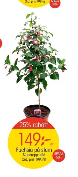 EKO Plantor erbjuda