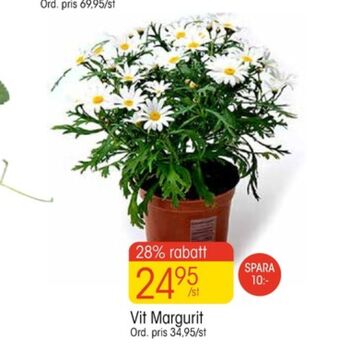EKO Plantor erbjuda
