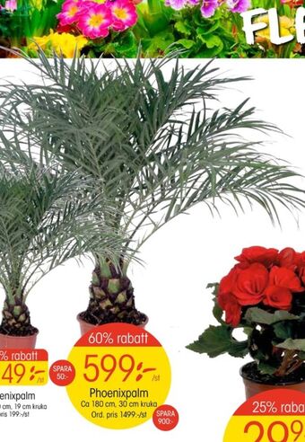 EKO Plantor erbjuda