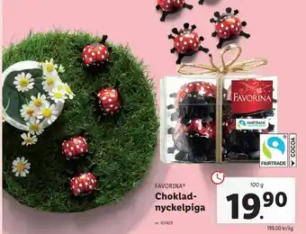 Lidl Choklad nyckelpiga erbjuda