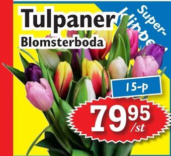 T-jarlen Tulpaner erbjuda