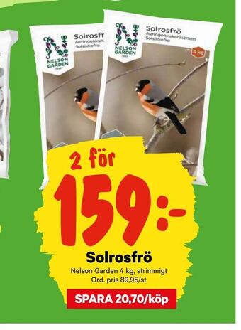 City Gross Solrosfrö erbjuda