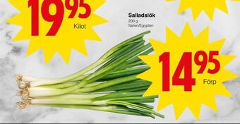 Matöppet Salladslök erbjuda